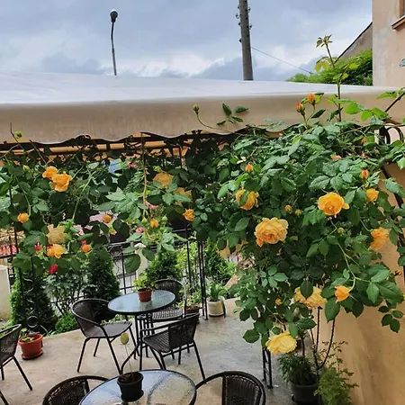 Casa de hóspedes Gurkov 4*