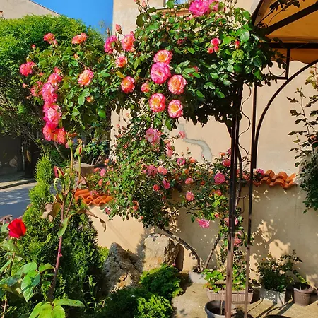 Gurkov Велико-Тырново