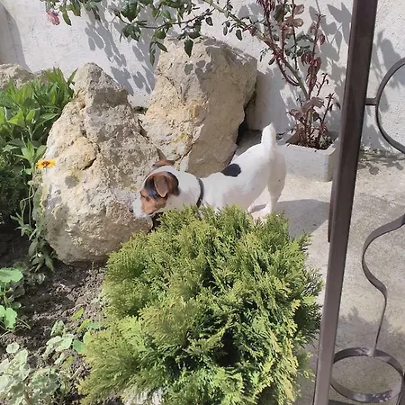 Gurkov