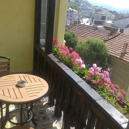 Pensionat Gurkov 4*
