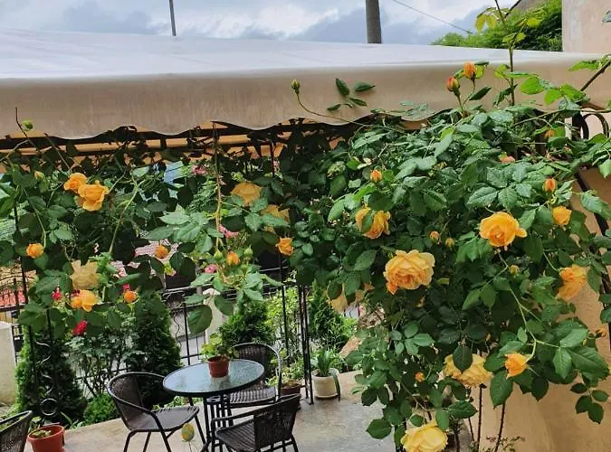 בית הארחה Gurkov 4*