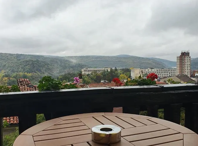 Gurkov Guest house 4*