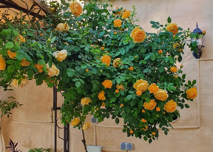 בית הארחה Gurkov