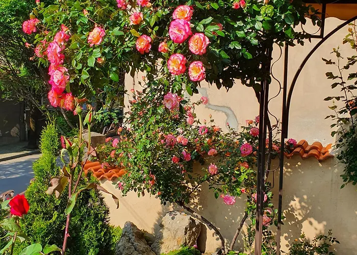 Gurkov וליקו טורנובו