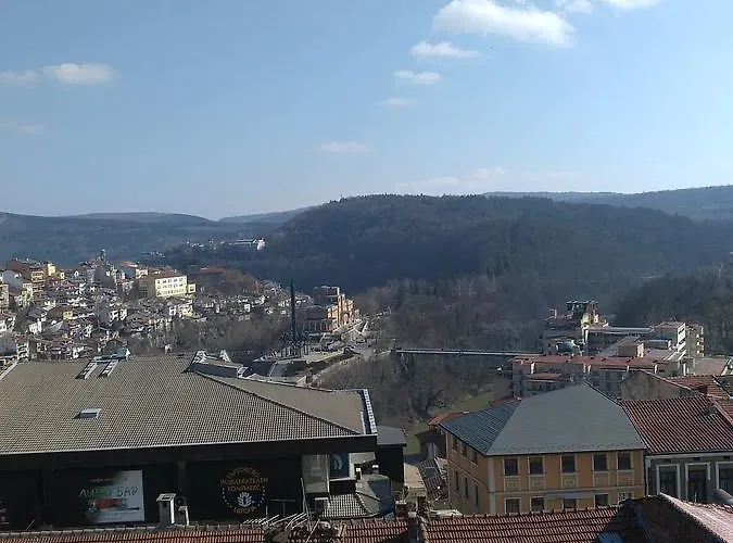 Gurkov בית הארחה וליקו טורנובו