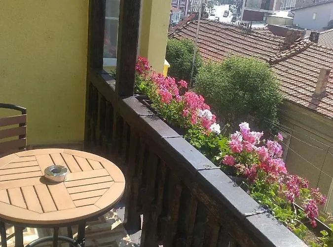 Guest house Gurkov 4*